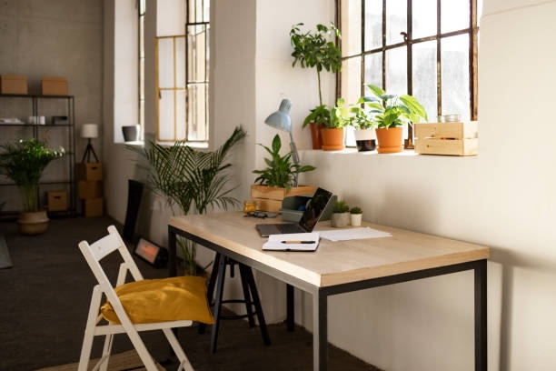 Study room with plants with study table